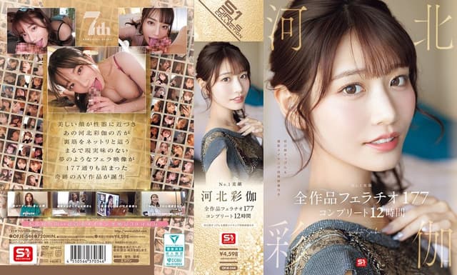 No.1 Beautiful Face Ayaka KAWAKITA All Works B [Decensored, Reduce Mosaic]