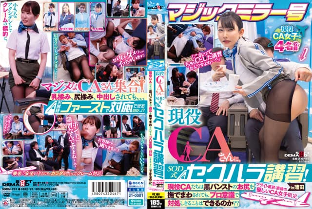 SDMM-233 Reduce Mosaic - Flight Attendants' Extreme Training [Decensored, Reduce Mosaic, Uncensored]